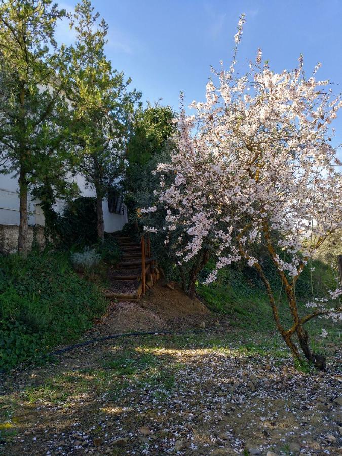 Casa La Liebrecilla Konuk evi Ríogordo Dış mekan fotoğraf